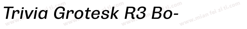 Trivia Grotesk R3 Bo字体转换